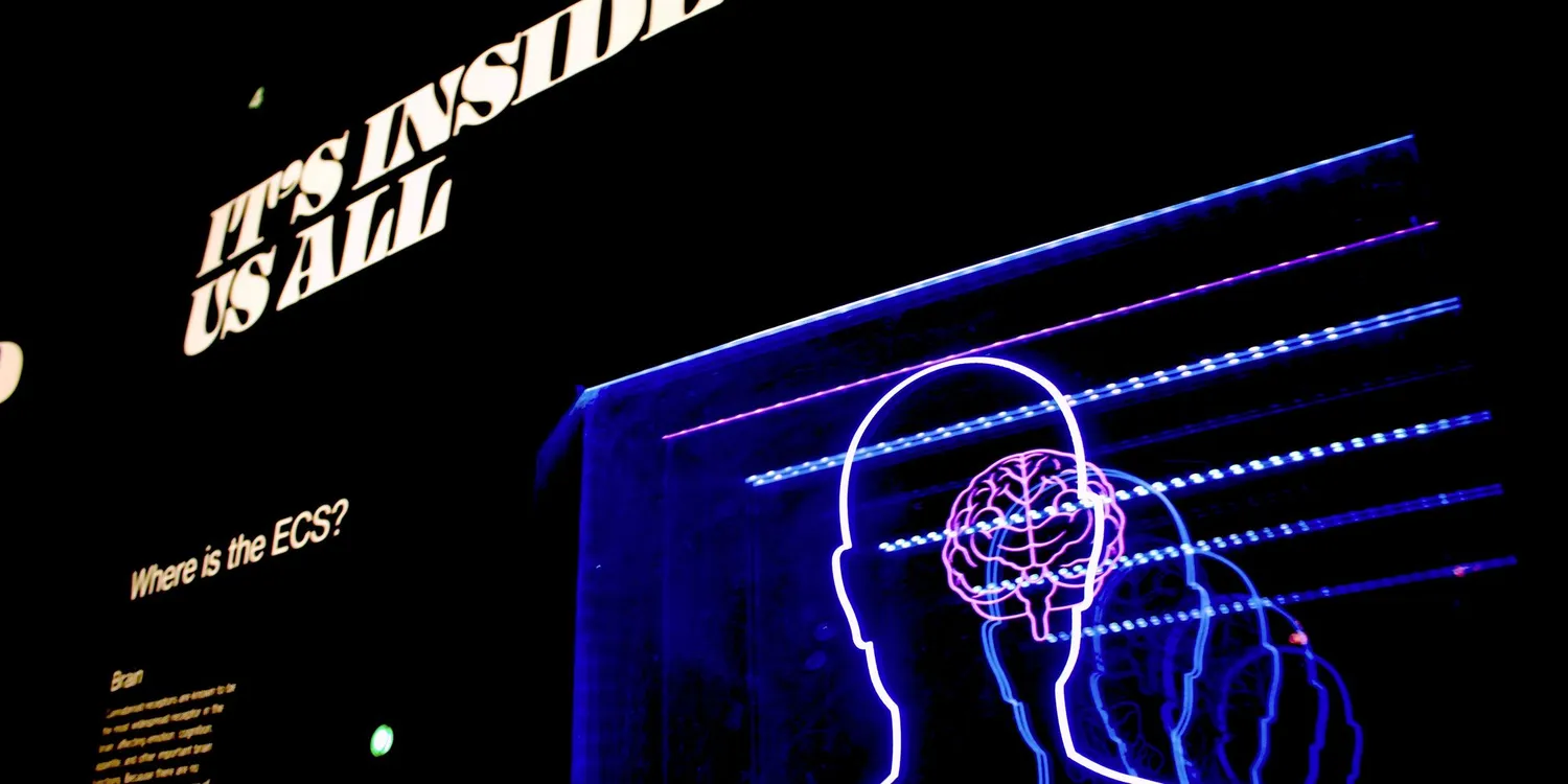 Neon illustration of a human brain and nervous system displayed in a dark exhibition space with the words “It’s Inside Us All”.