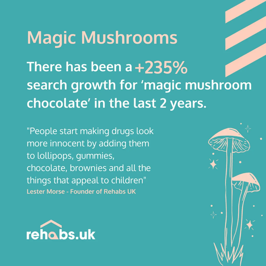 Infographic showing that search interest for magic mushroom chocolate bar recipes has grown by a staggering 2650% in the last month alone.