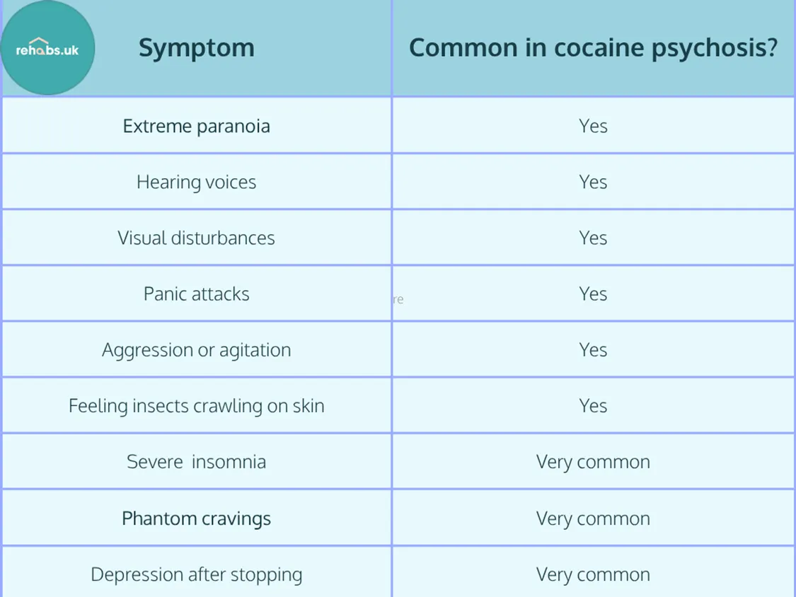 Checklist of common cocaine psychosis symptoms, showing that paranoia, hallucinations, visual disturbances, panic attacks, agitation, tactile hallucinations, insomnia, cravings and depression are all common features.