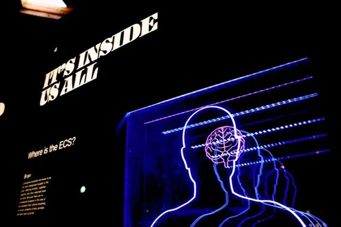 Neon illustration of a human brain and nervous system displayed in a dark exhibition space with the words “It’s Inside Us All”.
