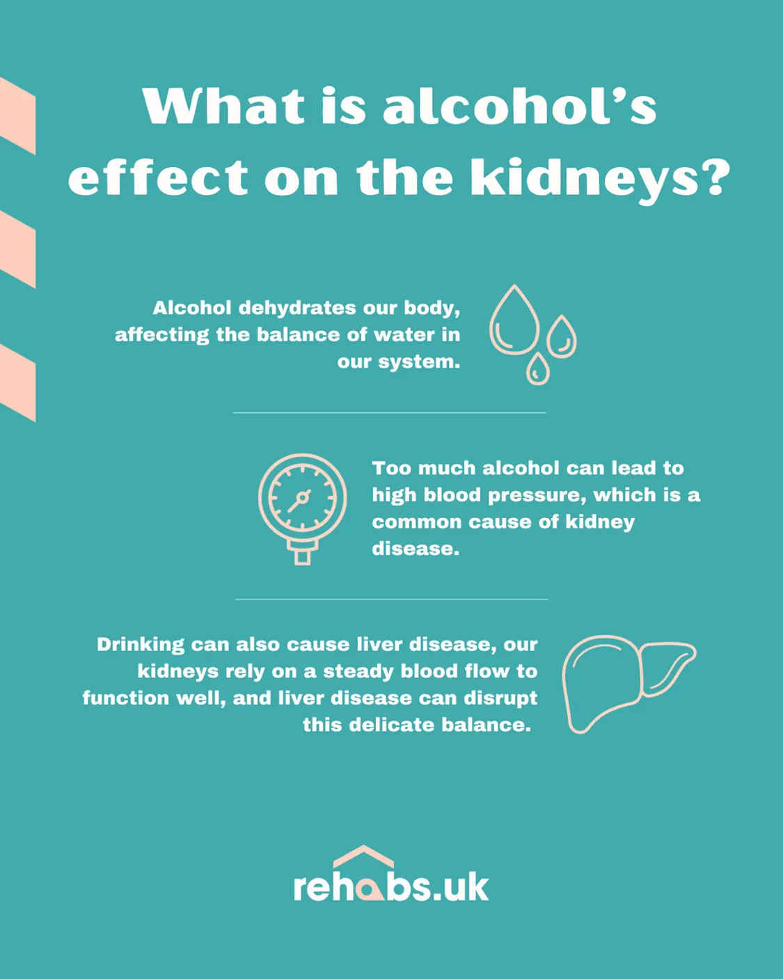 What is alcohol’s effect on the kidneys? - Alcohol dehydrates our body, affecting the balance of water in our system. - Too much alcohol can lead to high blood pressure, which is a common cause of kidney disease. - Drinking can also cause liver disease, our kidneys rely on a steady blood flow to function well, and liver disease can disrupt this delicate balance.